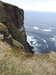 20210518131336-DSCN7673.JPG