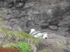 20210518131441-DSCN7676.JPG