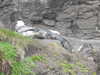 20210518131446-DSCN7677.JPG