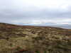 20210518135443-DSCN7758.JPG