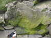 20210518135936-DSCN7772.JPG