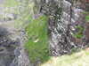20210518140132-DSCN7781.JPG