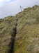 20210518140848-DSCN7792.JPG