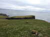 20210518141327-DSCN7800.JPG