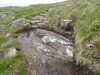 20210518141604-DSCN7808.JPG