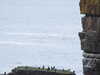 20210518142115-DSCN7820.JPG