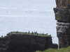 20210518142117-DSCN7821.JPG