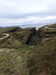 20210518142425-DSCN7827.JPG