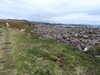 20210518143146-DSCN7843.JPG
