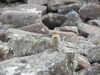 20210518143204-DSCN7844.JPG