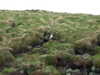 20210518143349-DSCF5955.JPG
