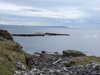 20210518143740-DSCN7851.JPG