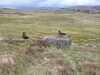 20210518144655-DSCN7865.JPG