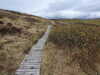 20210518144944-DSCN7873.JPG