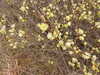 20210518144950-DSCN7874.JPG