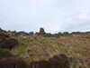 20210518145651-DSCN7881.JPG