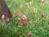 20210518150145-DSCF5971.JPG
