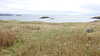 20210518150422-DSCN7886.JPG