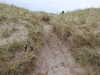 20210518151319-DSCN7904.JPG