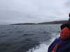 20210518152153-DSCN7914.JPG