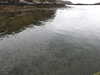 20210518152802-DSCN7919.JPG