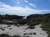 20210519145725-DSCN7922.JPG