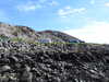 20210519145840-DSCN7926.JPG