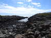 20210519145903-DSCN7927.JPG