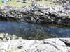 20210519150201-DSCN7932.JPG