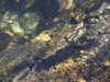 20210519150726-DSCN7944.JPG