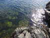 20210519150746-DSCN7946.JPG