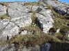 20210519181623-DSCN7963.JPG
