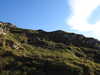 20210519184322-DSCN7976.JPG