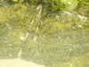20210520135659-DSCN8044.JPG