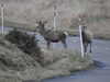 20210521204254-DSCN8098.JPG