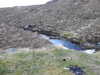 20210521204656-DSCN8109.JPG
