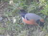 20210522163342-DSCN8155.JPG
