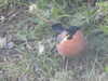 20210522163344-DSCN8156.JPG