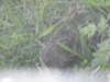 20210522163355-DSCN8157.JPG
