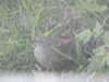20210522163358-DSCN8158.JPG