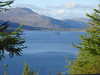 20210522183805-DSCN8174.JPG