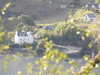 20210522184016-DSCN8178.JPG