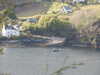 20210522184235-DSCN8183.JPG