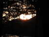 20210522202200-DSCN8196.JPG