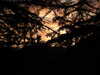 20210522202350-DSCN8199.JPG