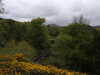20210523120724-DSCN8202.JPG
