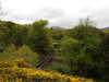20210523120729-DSCN8203.JPG