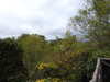 20210523120732-DSCN8204.JPG