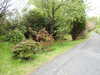 20210523120753-DSCN8205.JPG