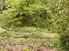 20210523120900-DSCN8206.JPG